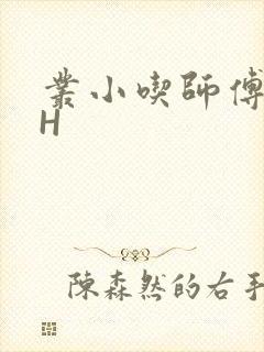 丛小吃师傅的HH