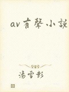 av有声小说