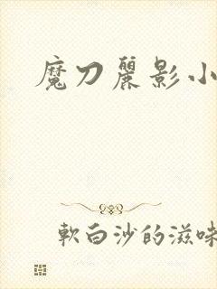 魔刀丽影小说