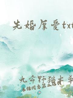 先婚厚爱txt