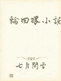 轮回眼小说