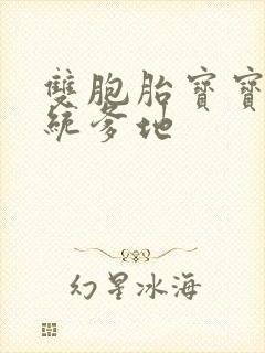 双胞胎宝宝的总统爹地