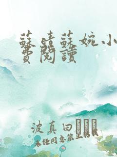 苏晴苏婉小说免费阅读