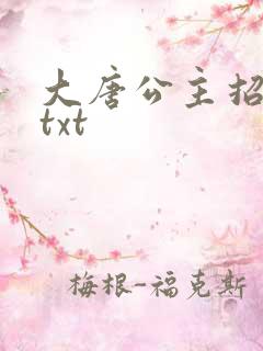 大唐公主招亲记txt