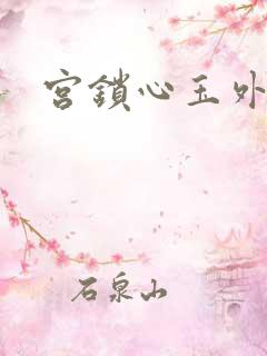 宫锁心玉外传