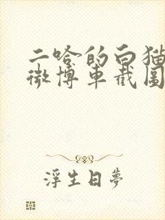 二哈的白猫师尊微博车截图