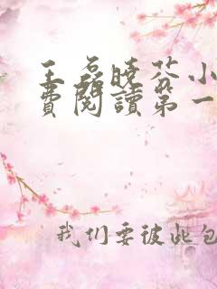 王磊晓芬小说免费阅读第一章