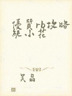 优质rb攻略系统小花