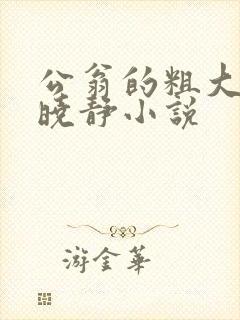公翁的粗大放进晓静小说