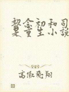 黎念初和司慕城是重生小说