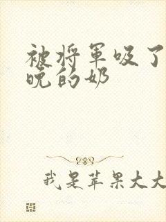 被将军吸了一整晚的奶