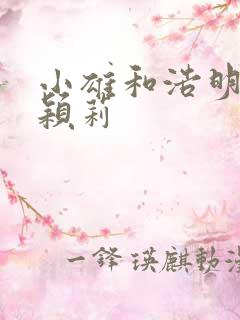 小雄和浩明夹击颖莉