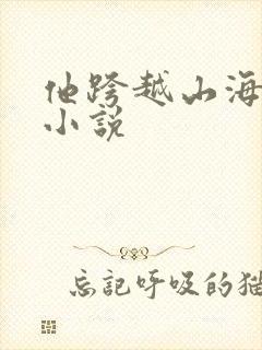 他跨越山海而来小说