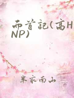 面首记(高H NP)