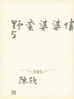 野蛮婆婆俏媳妇5