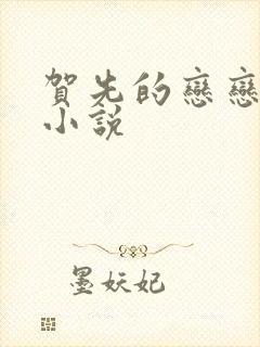 贺先的恋恋不忘小说