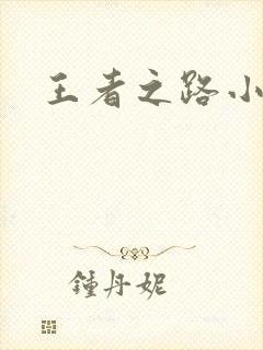 王者之路小说