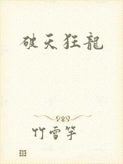 破天狂龙
