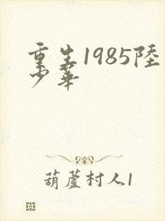 重生1985陆少华