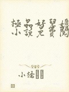 极品好儿媳苏灿小说免费阅读