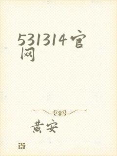 531314官网