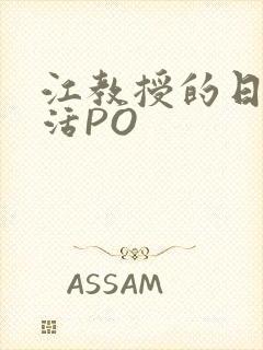 江教授的日常生活PO