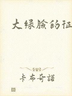 大绿脸的征途