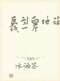 巨型白地菇多少钱一斤