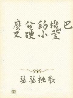 么公的机巴又粗又硬小莹