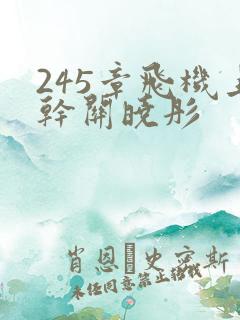 245章飞机上干关晓彤