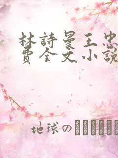 林诗曼王忠文免费全文小说的名称