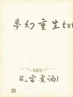 梦幻重生txt