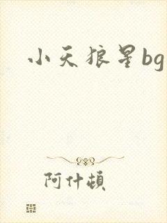 小天狼星bg
