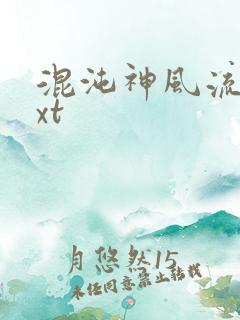 混沌神风流史txt