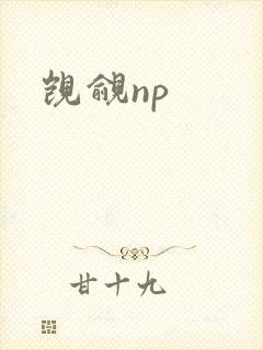 觊觎np