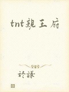 tnt亲王府