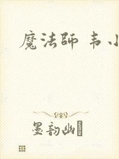 魔法师 韦小宝