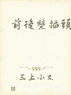 前后双插头互攻