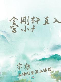 金刚杵直入莲花宫小f