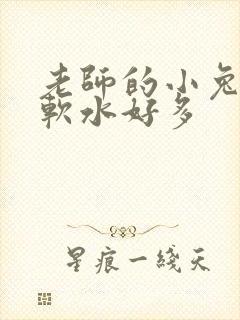 老师的小兔子好软水好多