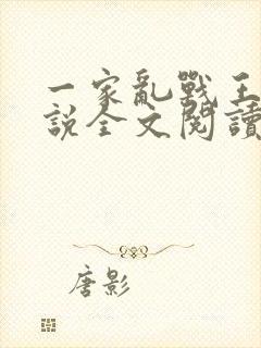 一家乱战王芳小说全文阅读