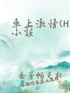 车上激情(H)小说