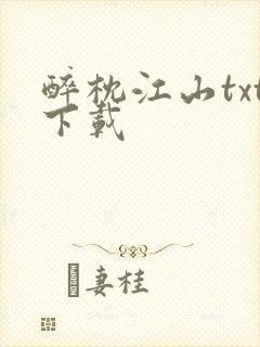 醉枕江山txt下载