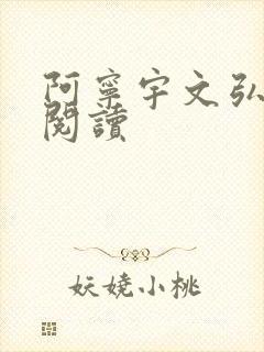 阿宁宇文弘免费阅读
