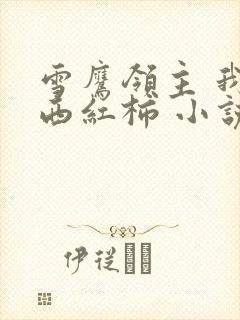 雪鹰领主 我吃西红柿 小说