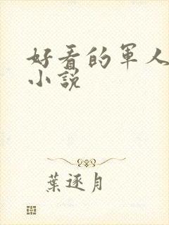 好看的军人高干小说