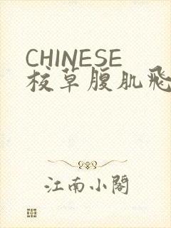 CHINESE校草腹肌飞机视频