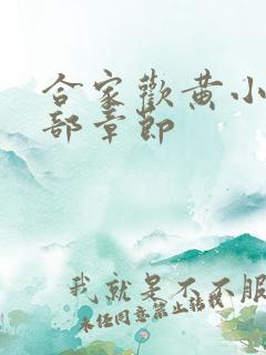 合家欢黄小梅全部章节