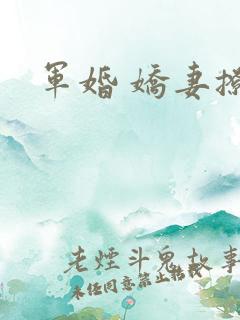 军婚 娇妻撩人