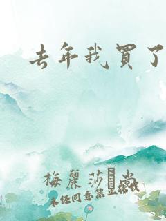 去年我买了个表